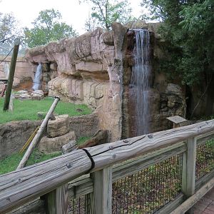 Primate Canyon - White-cheeked Gibbon Exhibit 1