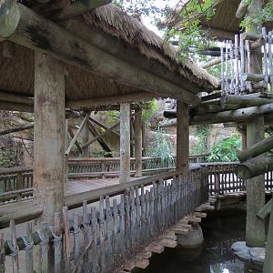 Primate Canyon - Entrance