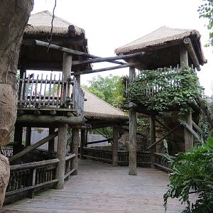 Primate Canyon - Entrance