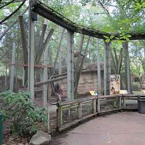 Primate Canyon - Colobus Monkey, Patas Monkey, and Savanna Baboon Exhibit
