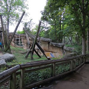 Primate Canyon - Western Lowland Gorilla Exhibit