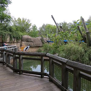Primate Canyon - White-cheeked Gibbon Exhibit 2