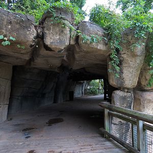 Primate Canyon - Cave Pathway