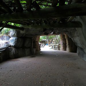 Primate Canyon - Cave Pathway