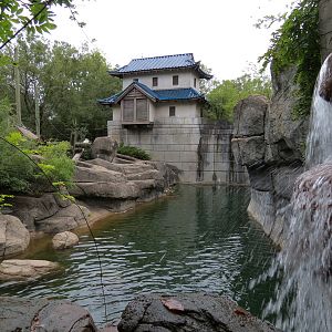 Primate Canyon - Asian Small-clawed Otter, Black and White Ruffed Lemur, and Red Ruffed Lemur Exhibit