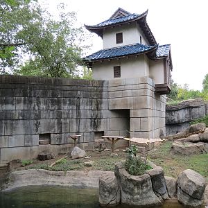 Primate Canyon - Asian Small-clawed Otter, Black and White Ruffed Lemur, and Red Ruffed Lemur Exhibit