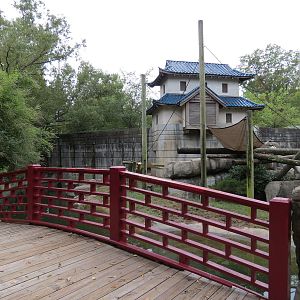 Primate Canyon - Asian Small-clawed Otter, Black and White Ruffed Lemur, and Red Ruffed Lemur Exhibit