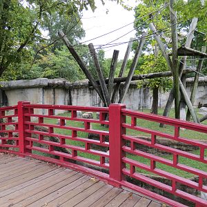 Primate Canyon - Siamang and Sumatran Orangutan Exhibit