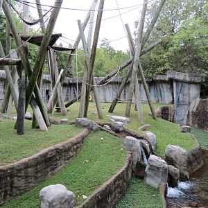 Primate Canyon - Siamang and Sumatran Orangutan Exhibit