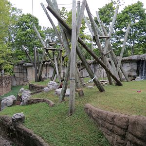 Primate Canyon - Siamang and Sumatran Orangutan Exhibit