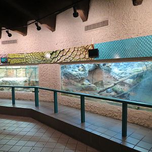 Herpetarium - Interior