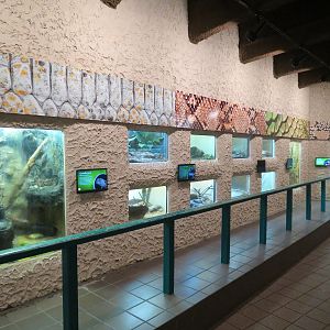 Herpetarium - Interior