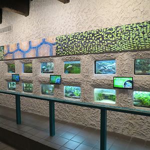 Herpetarium - Interior