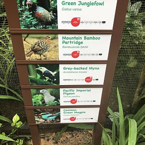 New signage at Wings of Asia