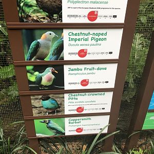 New signage at Wings of Asia