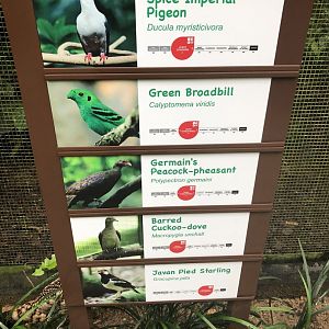 New signage at Wings of Asia