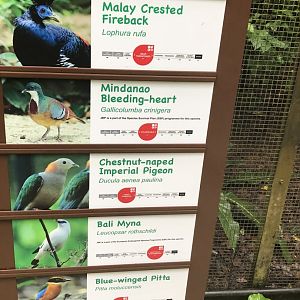 New signage at Wings of Asia