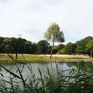 View of section of large Safari paddock (Sep 16th, 2018)