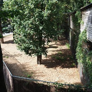 Safari - Second viewable separation paddock (Sep 16th, 2018)