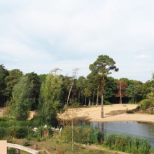 View of section of large Safari paddock from terraces (Sep 16th, 2018)