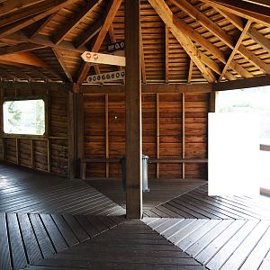 Safari viewing bridge (Sep 16th, 2018)