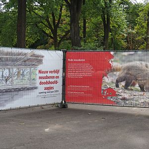 New project for 2019 signs on fencing around construction site (Sep 16th, 2018)