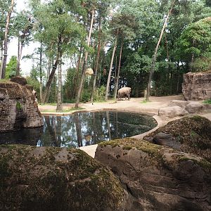 Asian elephant paddock (Sep 16th, 2018)