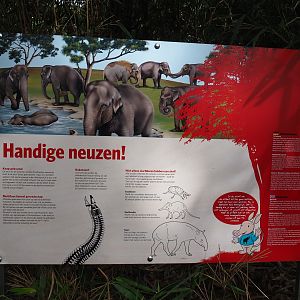 Clever noses sign - Education about the elephant trunk (Sep 16th, 2018)