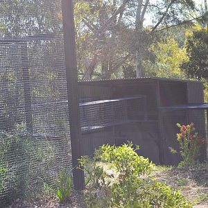 Capuchin Enclosure 03