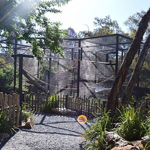 Capuchin Enclosure 02