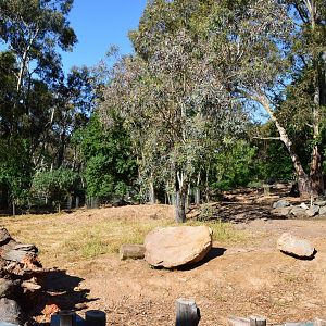 Capybara/Mara Enclosure (Extended)