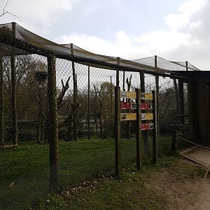 Entrance Walk-in aviary for African birds
