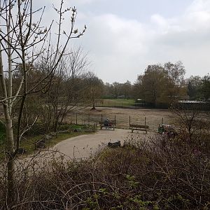 Several seperation-enclosures African hoofstock