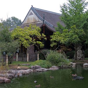 CHINA - Waterfowl Exhibit