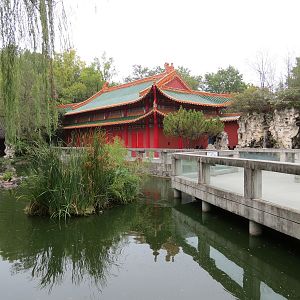 CHINA - Waterfowl Exhibit