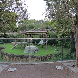 CHINA - Giant Panda Outdoor Exhibit