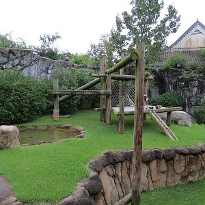 CHINA - Giant Panda Outdoor Exhibit