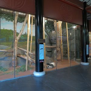 CHINA - Giant Panda Indoor Bedroom 1