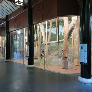 CHINA - Giant Panda Indoor Bedroom 2