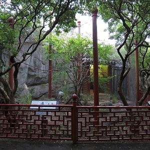 CHINA - Red-billed Blue Magpie and Temminck's Tragopan Exhibit
