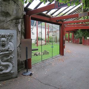 CHINA - Francois' Langur Exhibit