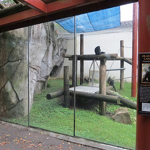 CHINA - Francois' Langur Exhibit