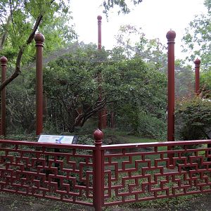 CHINA - Azure-winged Magpie and Edward's Pheasant Exhibit