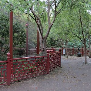 CHINA - Azure-winged Magpie and Edward's Pheasant Exhibit