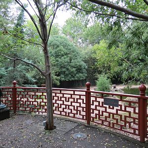 CHINA - Pere David's Deer and Red-crowned Crane Exhibit