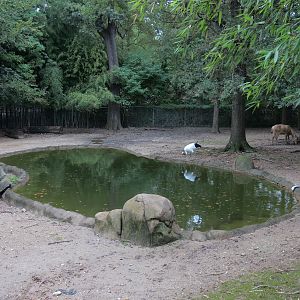 CHINA - Pere David's Deer and Red-crowned Crane Exhibit