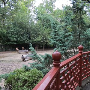 CHINA - Pere David's Deer and Red-crowned Crane Exhibit