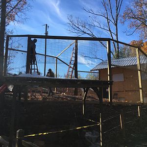 Prehistoric Applachians - Red Panda - 90% complete