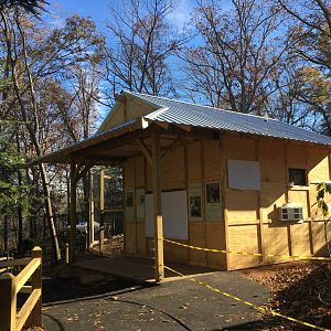 Prehistoric Applachians - Red Panda - building