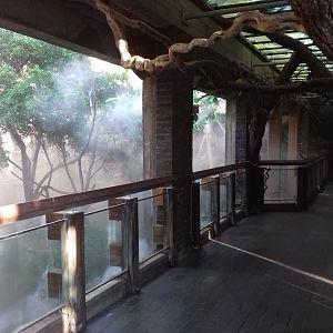 Clore Rainforest Lookout